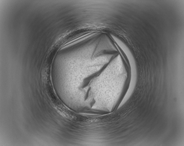 X0000080200736200612302337