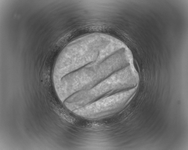 X0000080200737200612302337