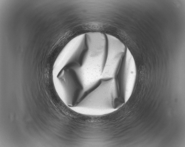 X0000080200739200612302337