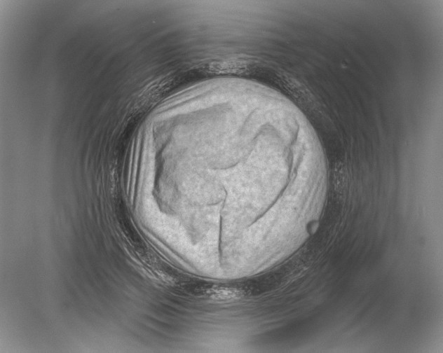 X0000080200741200612302337