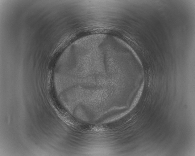 X0000080200742200612302337