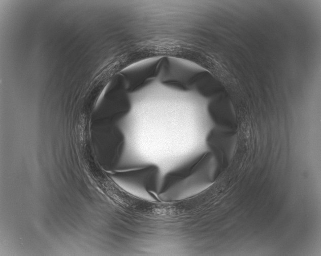 X0000080200744200612302337