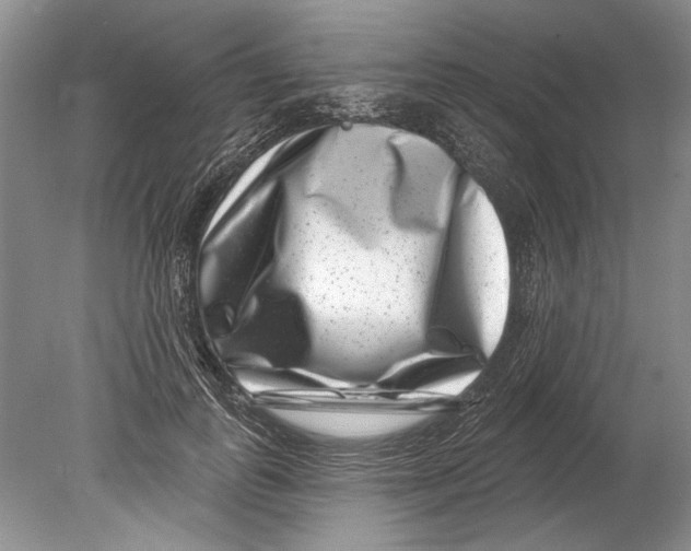 X0000080200747200612302337