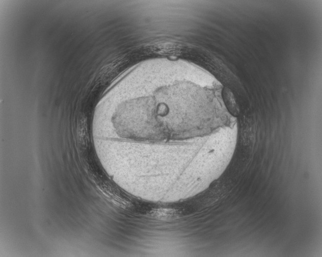 X0000080200748200612302337