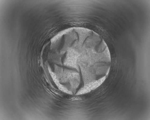 X0000080200749200612302337