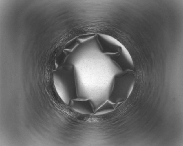 X0000080200751200612302337