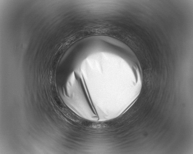 X0000080200752200612302337