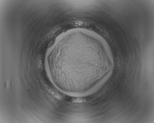 X0000080200754200612302337