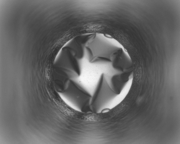 X0000080200755200612302337