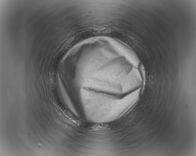 X0000080200756200612302337