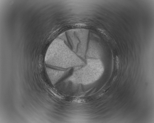 X0000080200760200612302337