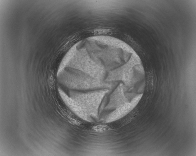 X0000080200761200612302337