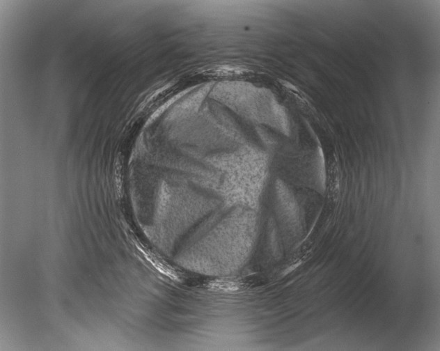 X0000080200762200612302337