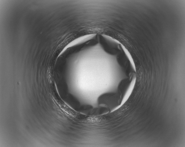 X0000080200764200612302337