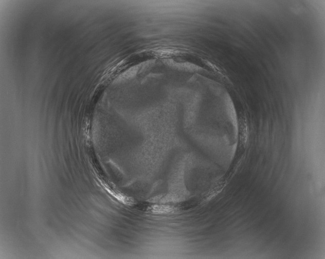 X0000080200766200612302337