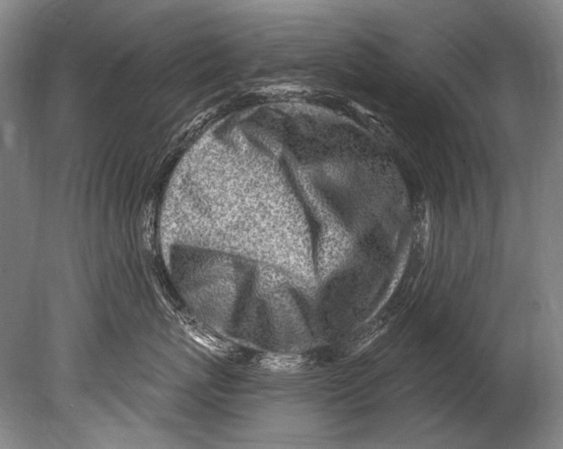 X0000080200767200612302337