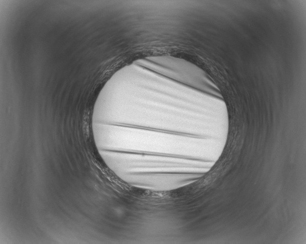 X0000080200768200612302337