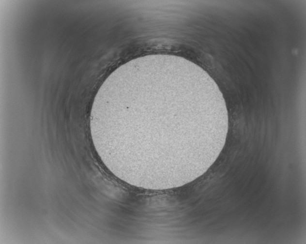 X0000080200769200612302337