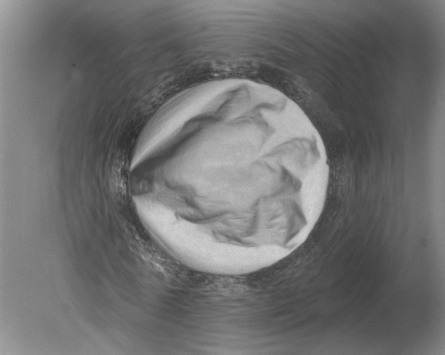 X0000080200770200612302337