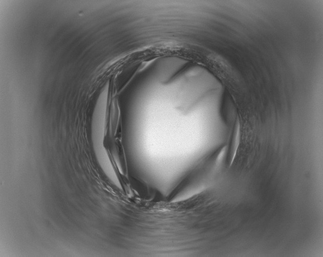 X0000080200773200612302337