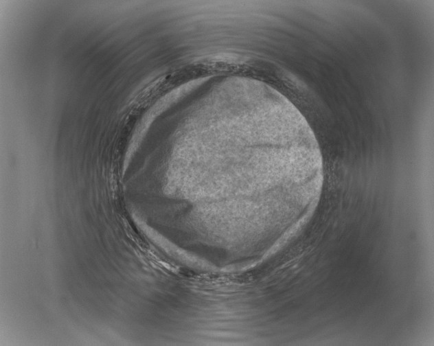 X0000080200774200612302337