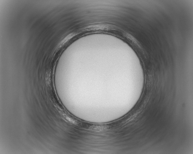 X0000080200778200612302337