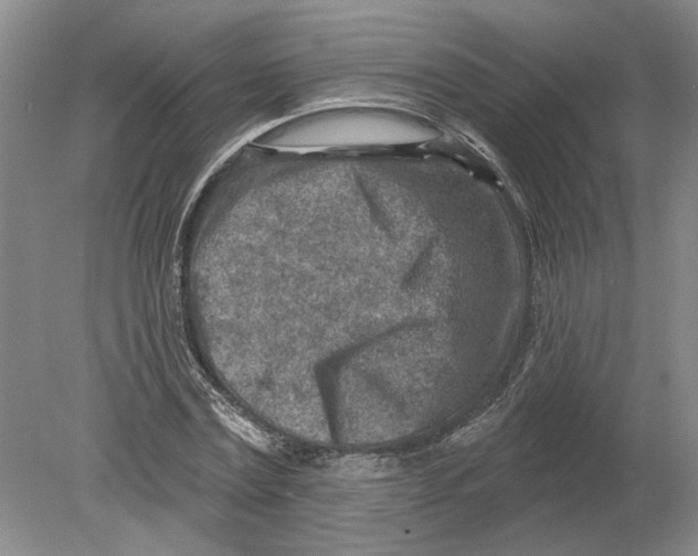 X0000080200779200612302336