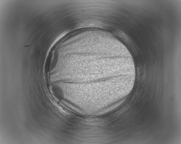 X0000080200780200612302336