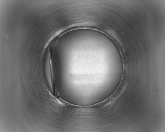 X0000080200781200612302336