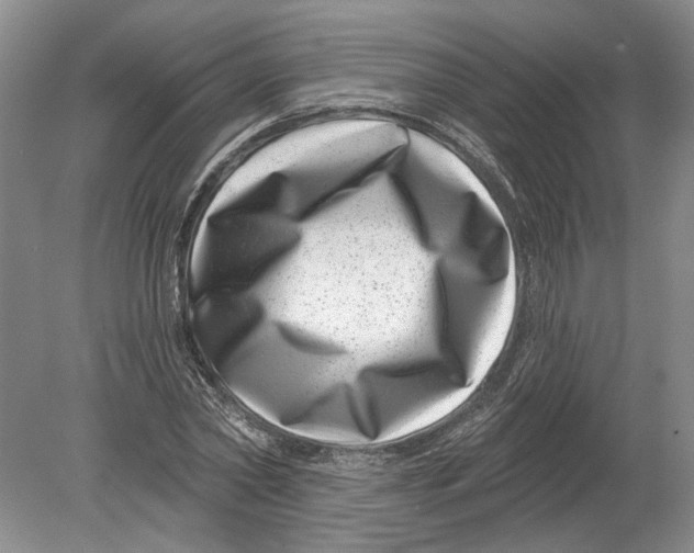 X0000080200782200612302336