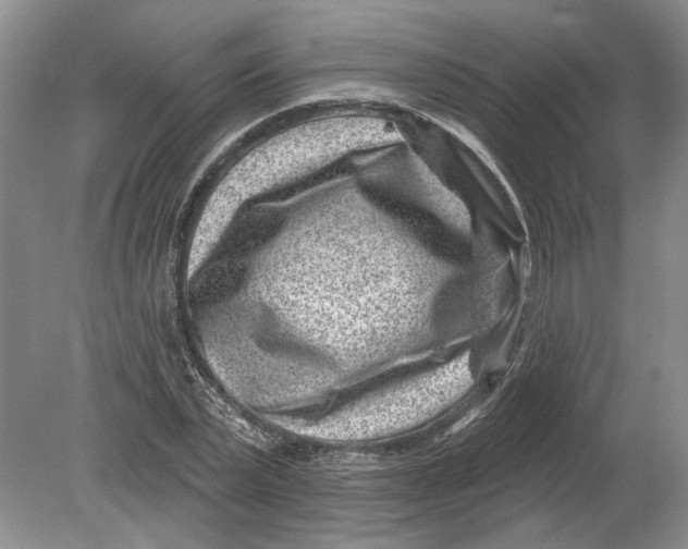 X0000080200783200612302336