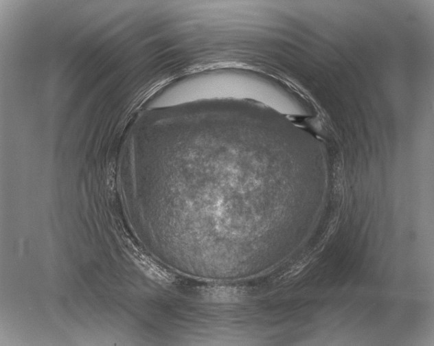 X0000080200785200612302336