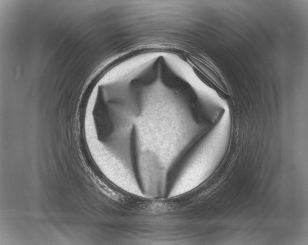 X0000080200787200612302336