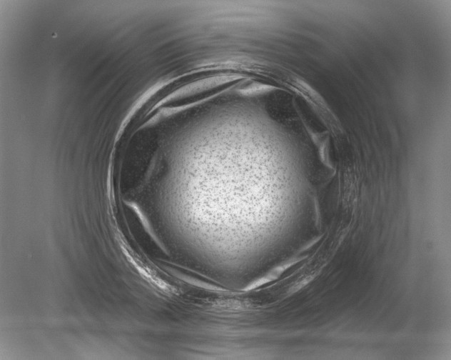 X0000080200788200612302336