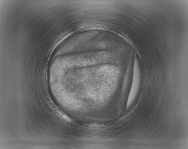 X0000080200790200612302336