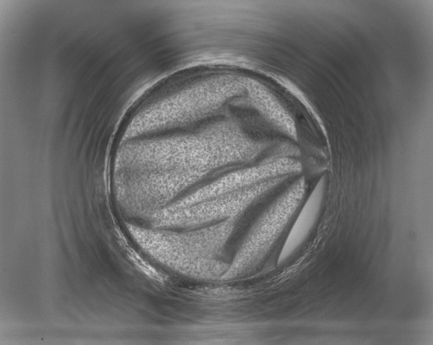 X0000080200791200612302336