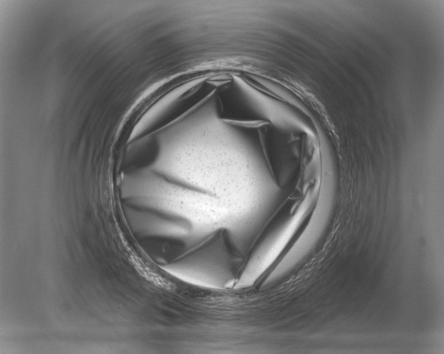 X0000080200792200612302336