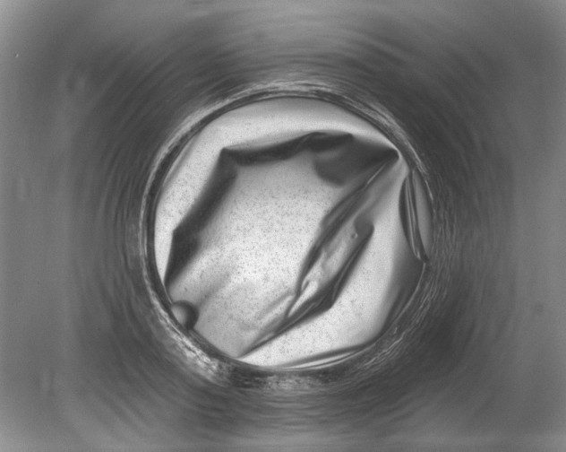 X0000080200795200612302336