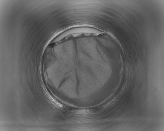 X0000080200797200612302336