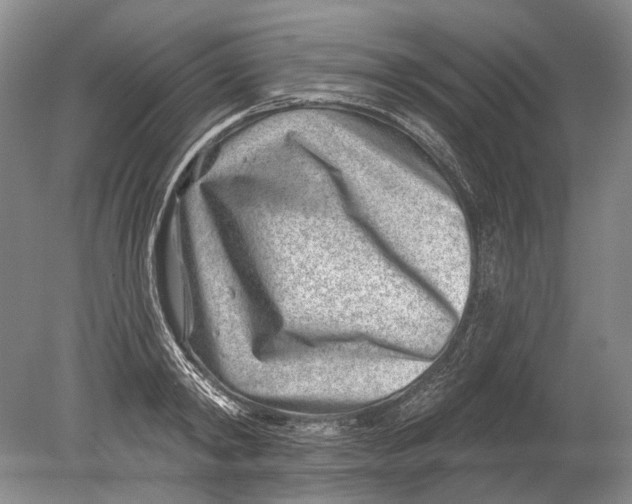 X0000080200798200612302336