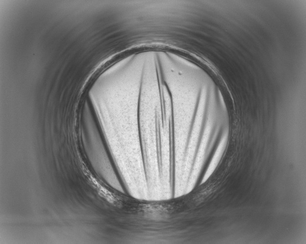 X0000080200799200612302336