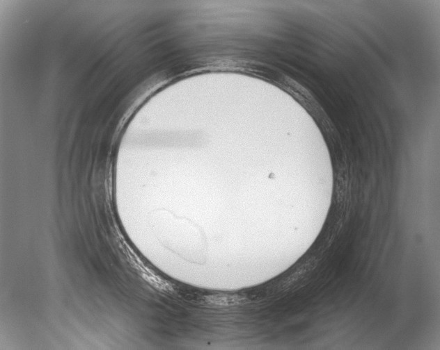 X0000080200804200612302336