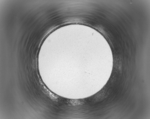 X0000080200807200612302336