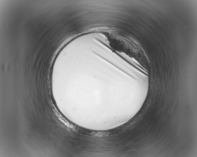 X0000080200808200612302336