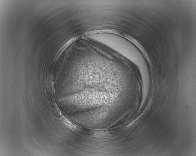 X0000080200809200612302336