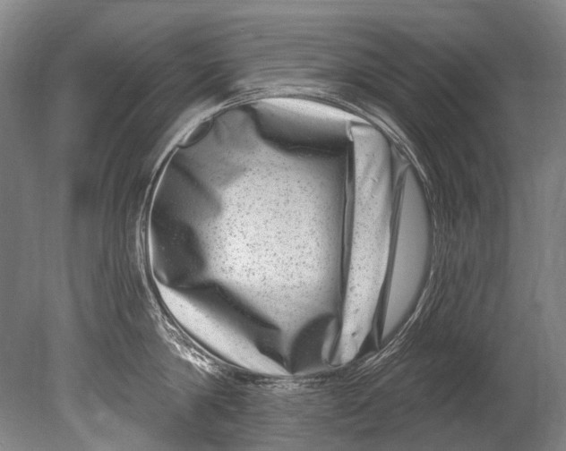 X0000080200814200612302336