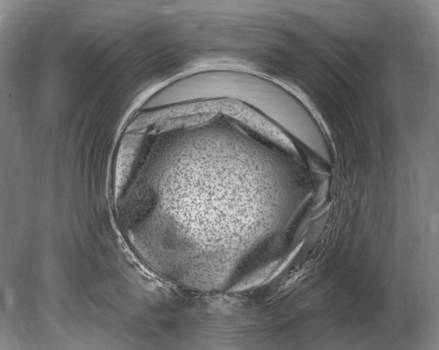 X0000080200815200612302336