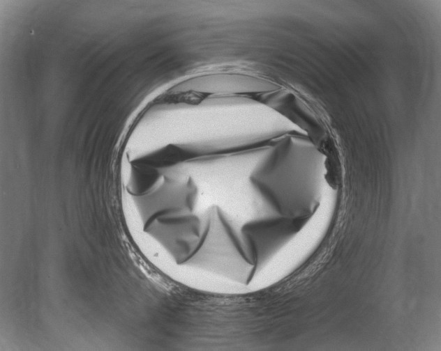 X0000080200816200612302336