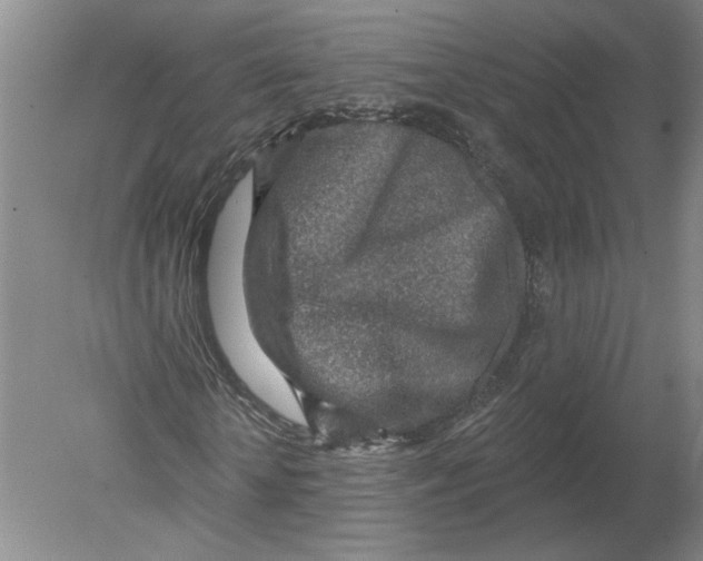 X0000080200818200612302335