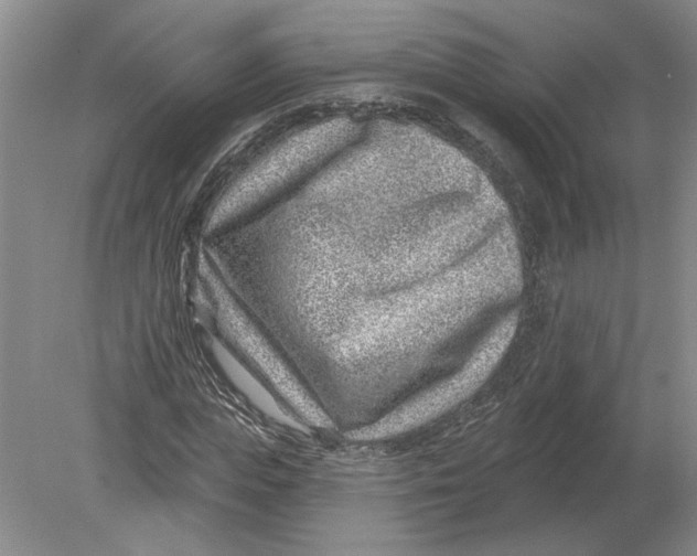 X0000080200823200612302335